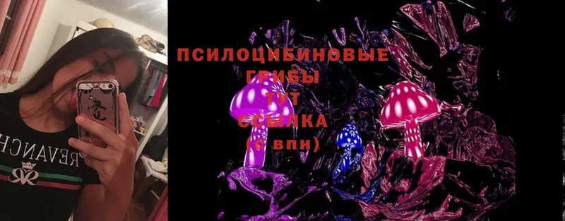 Галлюциногенные грибы MAGIC MUSHROOMS  цены наркотик  Белая Холуница 